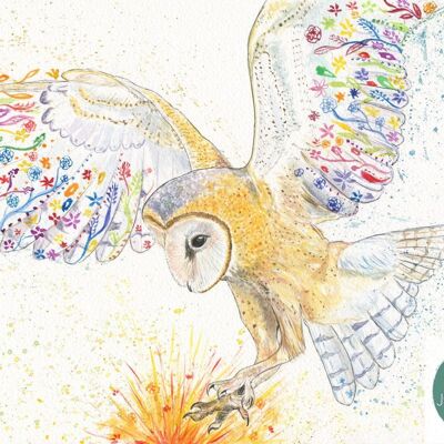 Barn Owl  | Signed Art Print | Bird Artwork Countryside