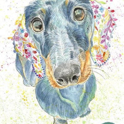 Moose the Dachshund Dog Stampa artistica ad acquerello firmata