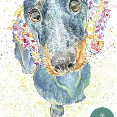 Moose the Dachshund Dog Stampa artistica ad acquerello firmata