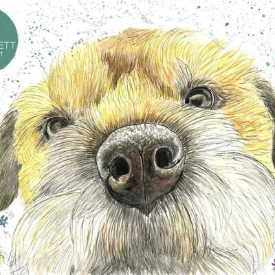 Tilly der Border Terrier Hund signiert Aquarell Art Animal
