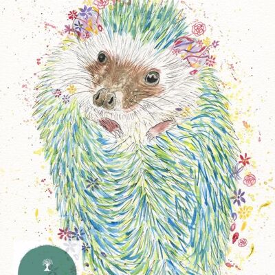 Hector the Hedgehog Stampa d'arte ad acquerello firmata britannica