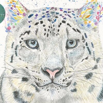 Saphir le léopard des neiges Aquarelle signée