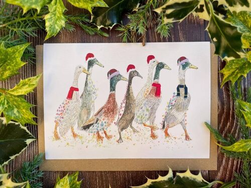 Ducks | Christmas Eco Friendly Card Colourful Greetings