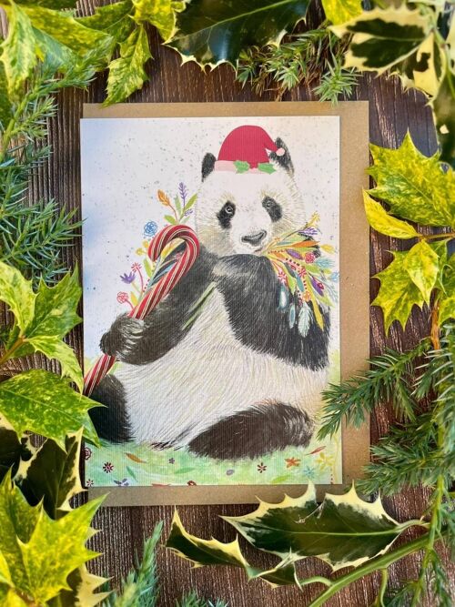 Christmas Panda Eco Friendly Card Colourful Greetings Blank