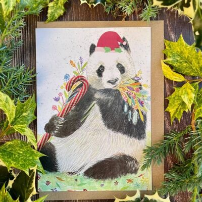 Tarjeta Ecológica Panda Navidad Saludos Coloridos Blanco