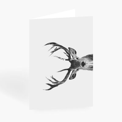 Greeting card / Deer No. 1