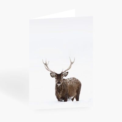 Grußkarte / Deer No. 2