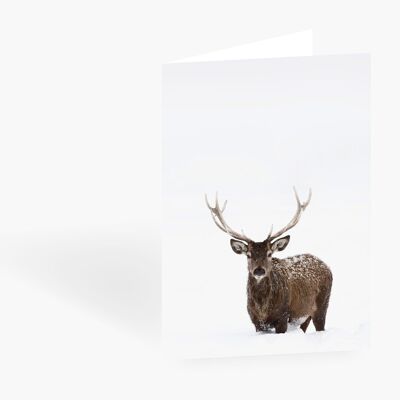 Grußkarte / Deer No. 2