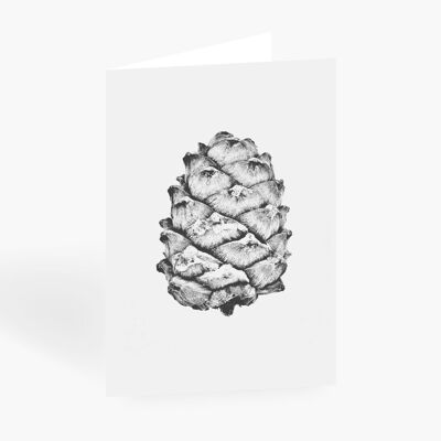 Greeting card / cones