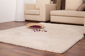 Tapis Velours ivoire 120 x 170 cm 4