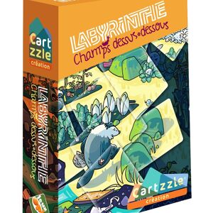 Jeu Cartzzle Labyrinthe - Champs dessus-dessous