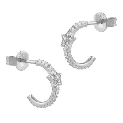 Silver and zircon earrings with star