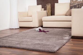 Tapis Velvet platine 80 x 150 cm 4