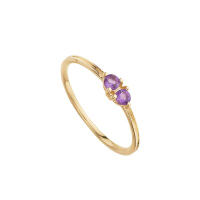 Hampi Amethyst Ring