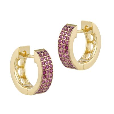 Serena earrings bathed in gold and zircons