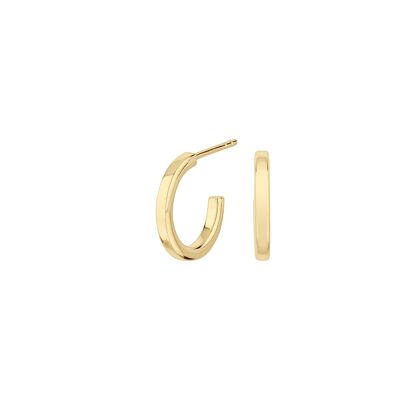 Dublin Gold Plated Earrings