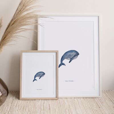 Sperm whale poster 3 - 30 x 40 cm