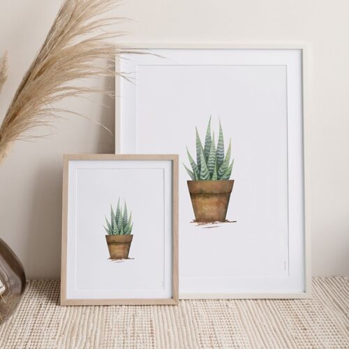 Affiche Cactus 1 - 30 x 40 cm