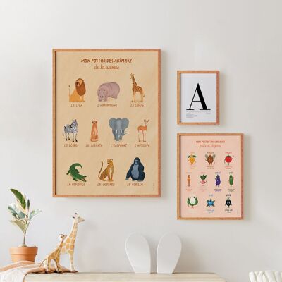 Poster delle mappe degli animali della savana - 30 x 40 cm