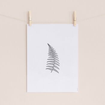 Affiche Herbarium White II - 30 x 40 cm 2