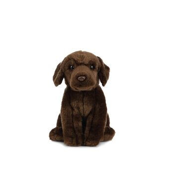 Labrador Brun -  Peluche Living Nature 1