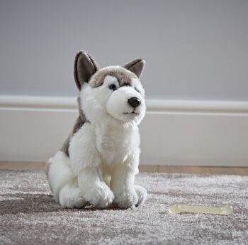 Husky -  Peluche Living Nature 2