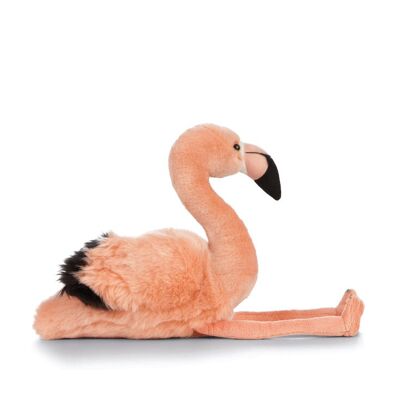 Flamingo - Peluche naturaleza viva