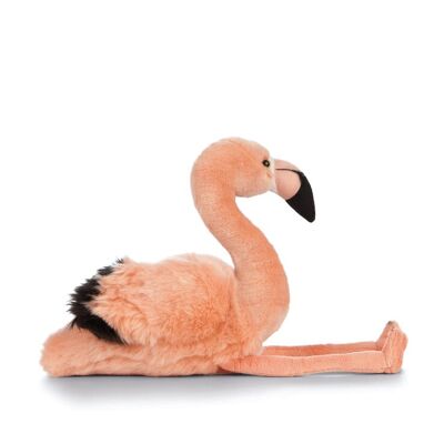 Flamingo - Peluche naturaleza viva