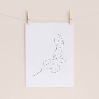 Pilea poster - 30 x 40 cm