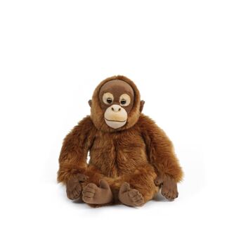 Orang-Outan -  Peluche Living Nature 1