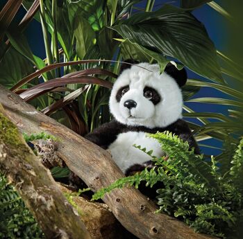 Panda Assis -  Peluche Living Nature 2