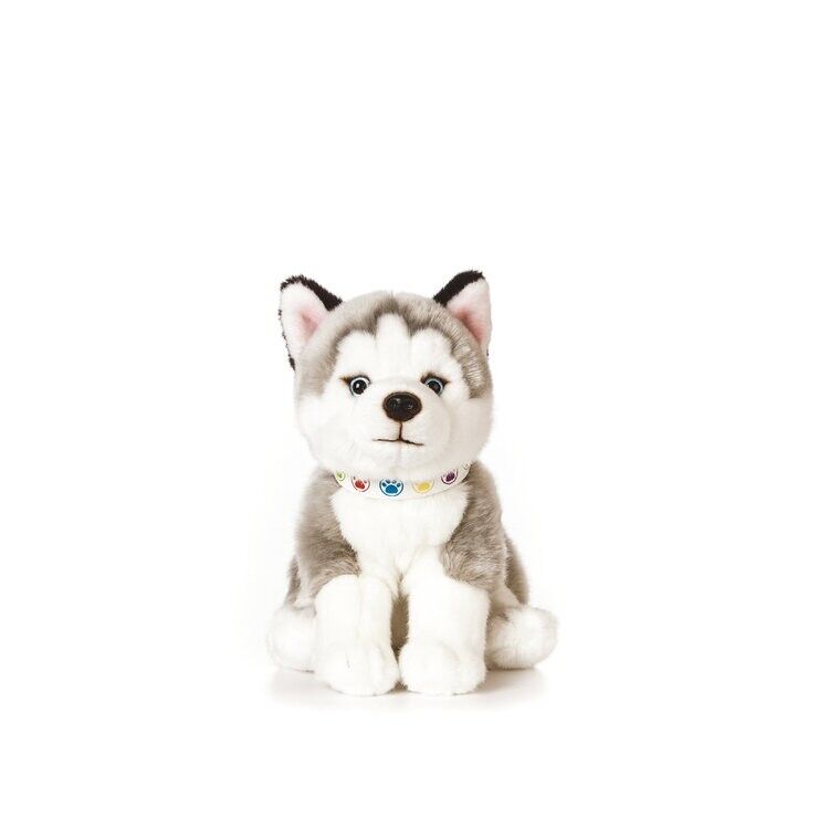 Peluche cheap husky gigante