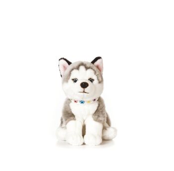 Chiot Husky Géant -  Peluche Living Nature