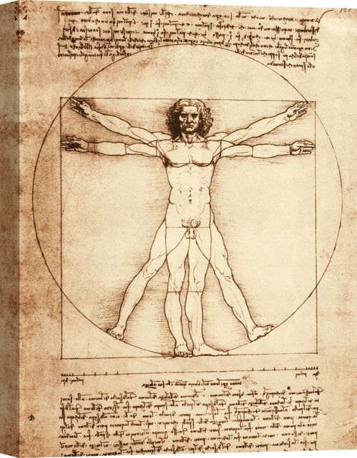 Quadro su tela di qualità museale Leonardo da Vinci, L'Uomo Vitruviano