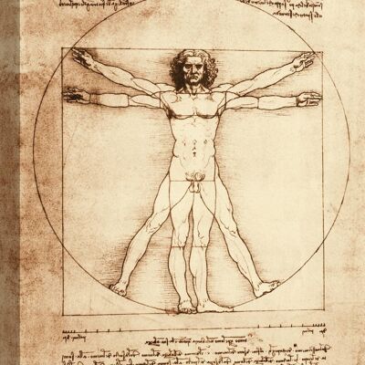 Leonardo da Vinci, Der vitruvianische Mensch, Leinwanddruck in Museumsqualität