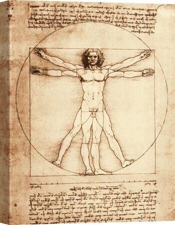 Léonard de Vinci, L'Homme de Vitruve, impression sur toile de qualité musée 1
