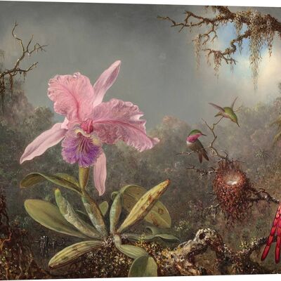 Pintura botánica, impresión sobre lienzo: Martin Johnson Heade, Orquídea en flor y tres colibríes