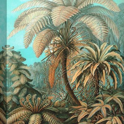 Cuadro botánico, impresión en lienzo: Ernst Haeckel, Filicinae