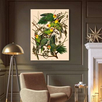 Peinture classique, impression sur toile : John James Audubon, Carolina Parrot 2
