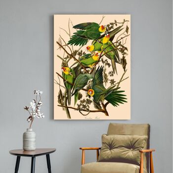 Peinture classique, impression sur toile : John James Audubon, Carolina Parrot 3