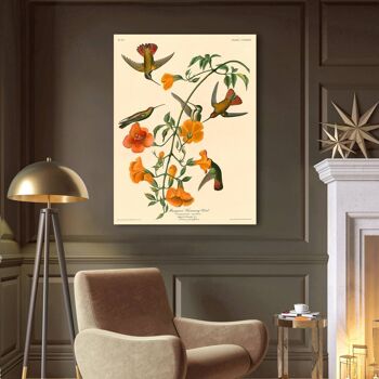 Peinture classique, impression sur toile : John James Audubon, Mangrove Humming Bird (Hummingbird) 2