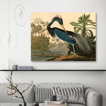 Peinture classique, impression sur toile : Audubon, Louisiana Heron 2