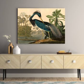 Peinture classique, impression sur toile : Audubon, Louisiana Heron 3