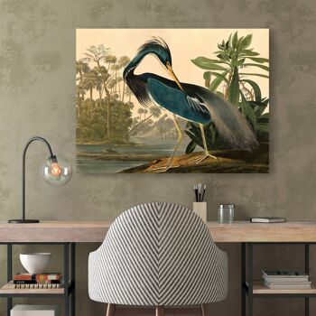 Peinture classique, impression sur toile : Audubon, Louisiana Heron 4