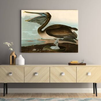 Peinture classique, impression sur toile : Audubon, Brown Pelican (American Pelican) 2