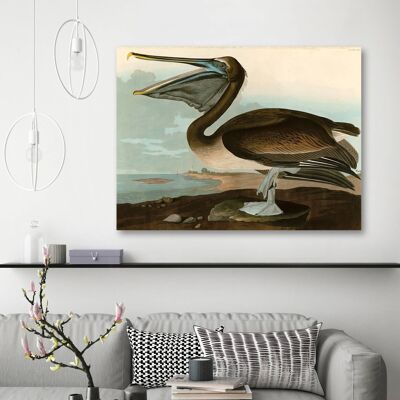 Pintura clásica, impresión en lienzo: Audubon, Brown Pelican (American Pelican)