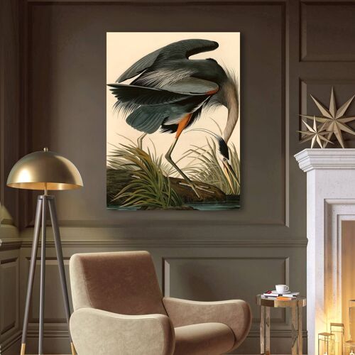 Quadro classico, stampa su tela: John James Audubon, Great Blue Heron (Airone azzurro)