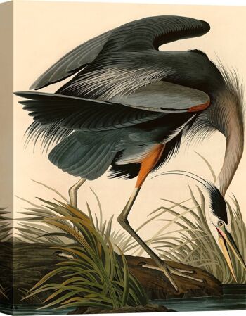 Peinture classique, impression sur toile : John James Audubon, Great Blue Heron 2