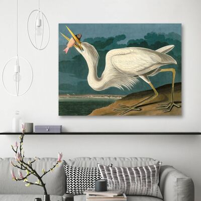 Quadro classico, stampa su tela: Audubon, Great White Heron (Airone bianco)