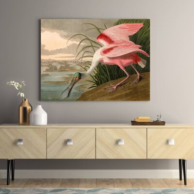Cuadro clásico, impresión en lienzo: Audubon, espátula rosada (espátula)